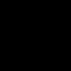 Meet your Posher, Carleigh